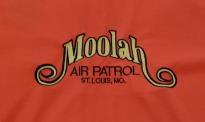 a close up of a logo