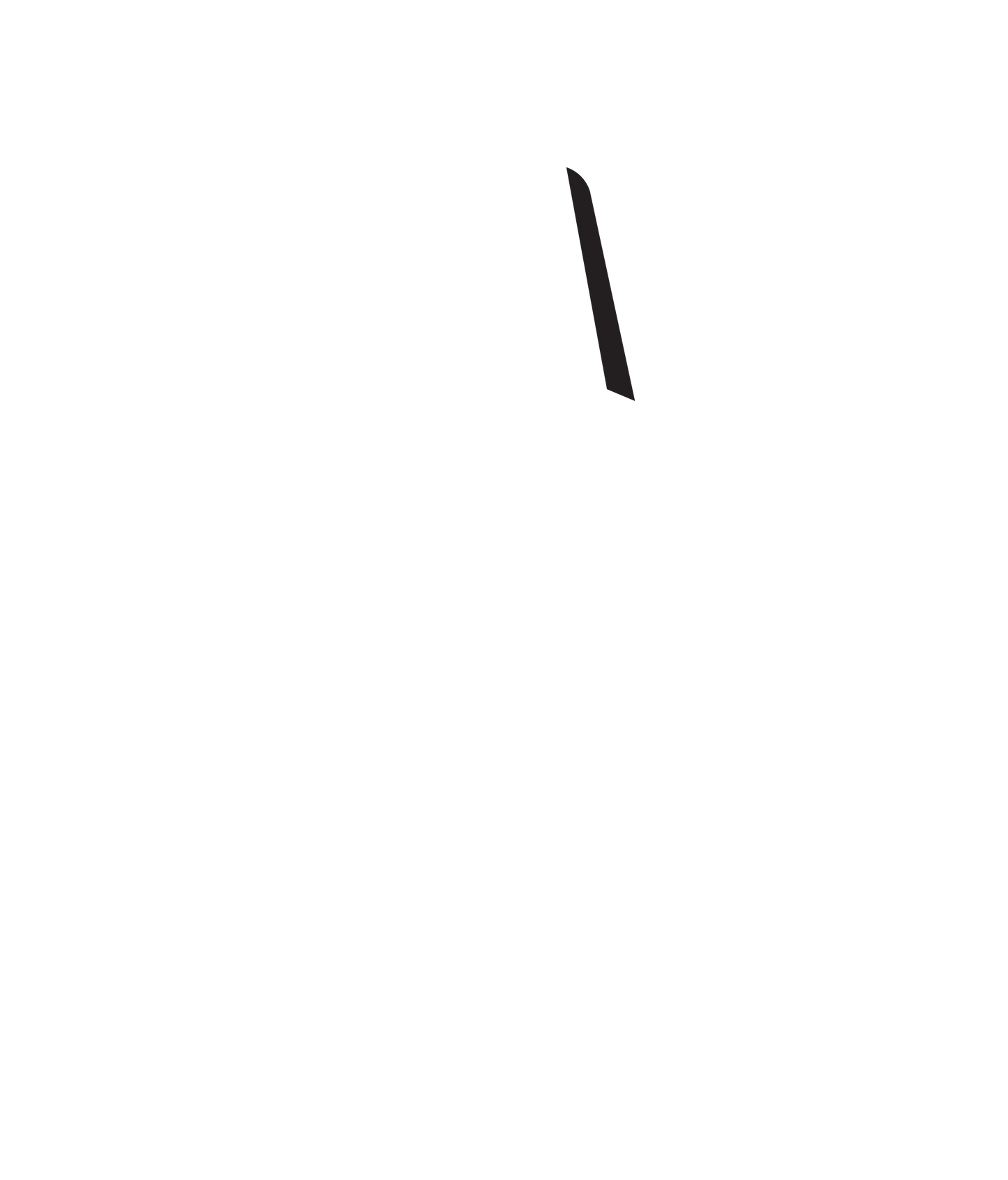 Black vertical line on a white background